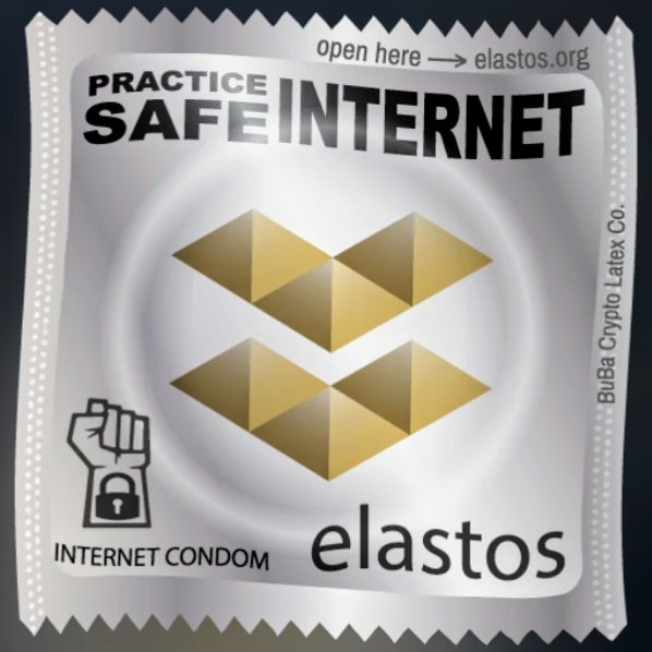 Elastos Community Gathering